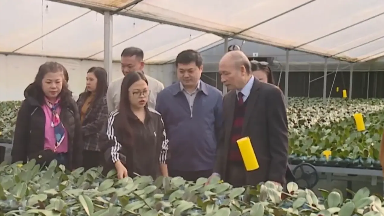 Hội Nhà báo Thành phố tổ chức đi thực tế địa phương